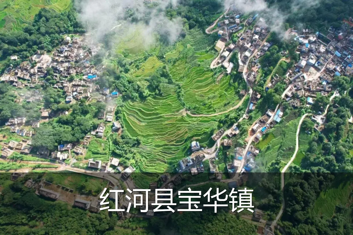 红河县宝华镇
