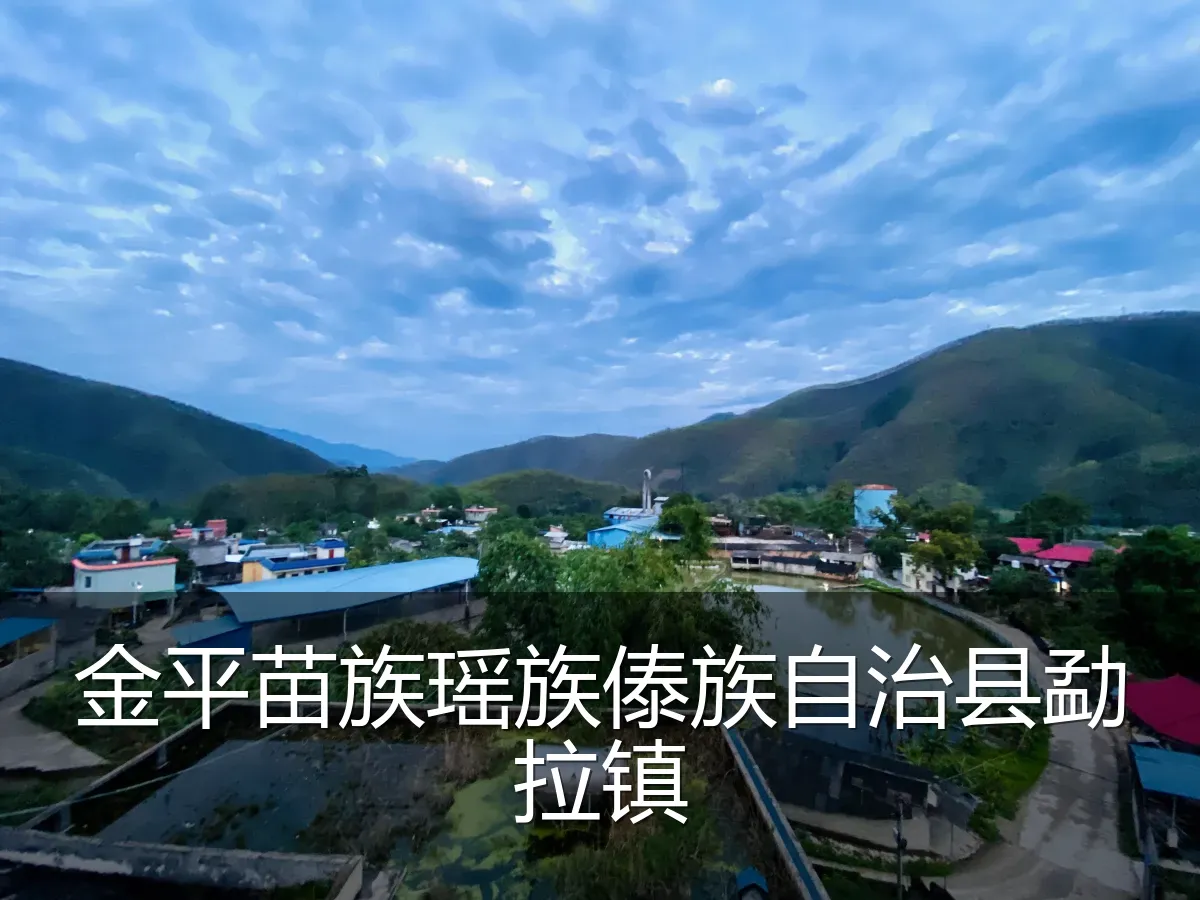 金平苗族瑶族傣族自治县勐拉镇