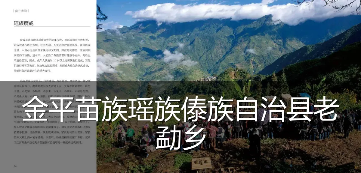 金平苗族瑶族傣族自治县老勐乡