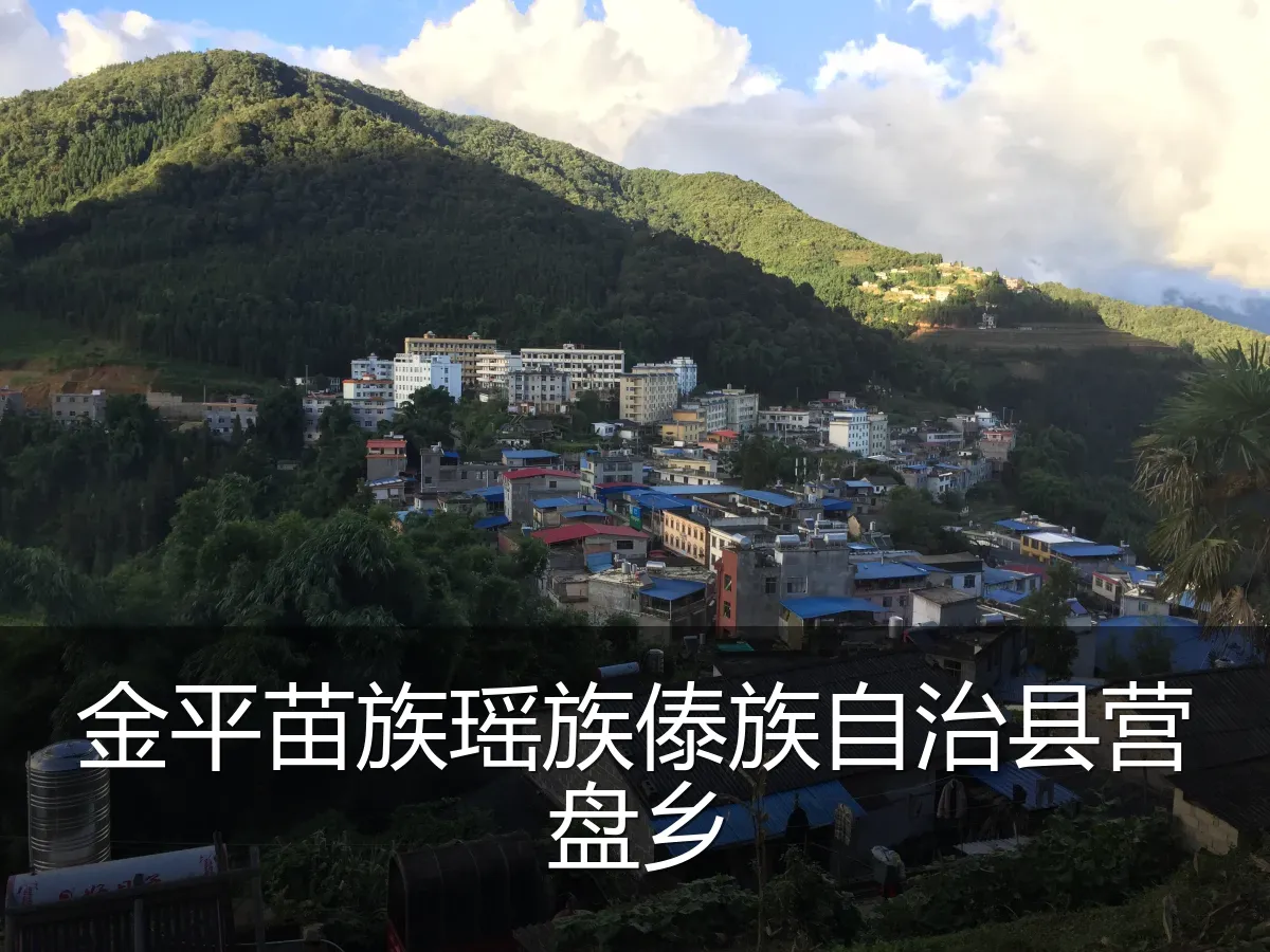金平苗族瑶族傣族自治县营盘乡