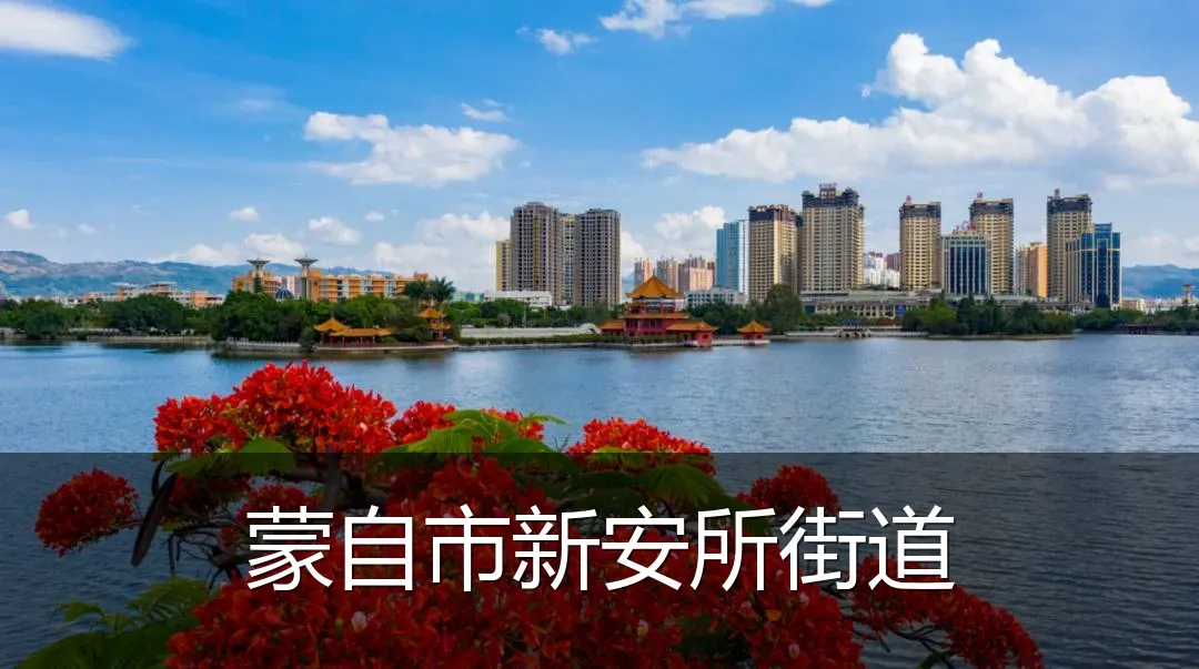 蒙自市新安所街道