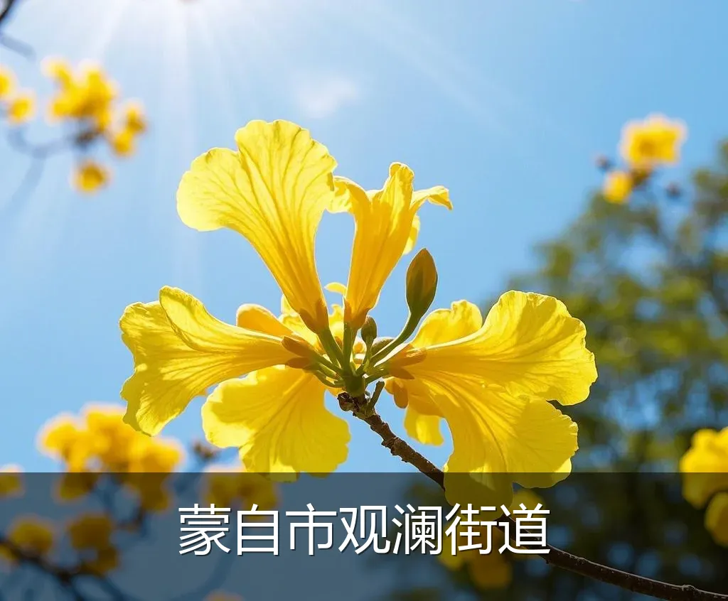 蒙自市观澜街道