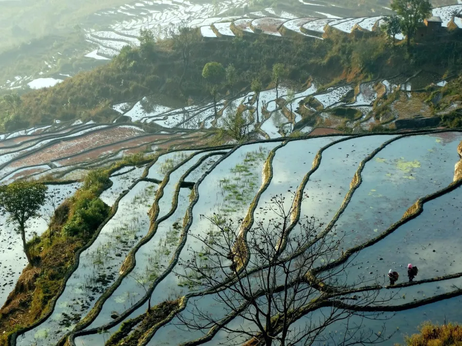 红河红河移动宽带